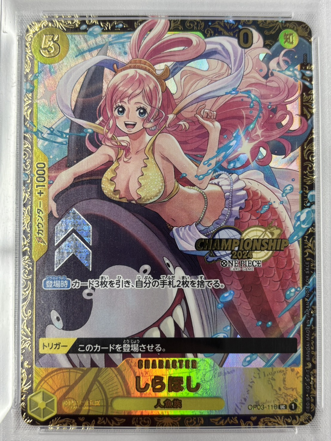 【PSA10】しらほし(championship2024)【プロモ】【OP03-116】